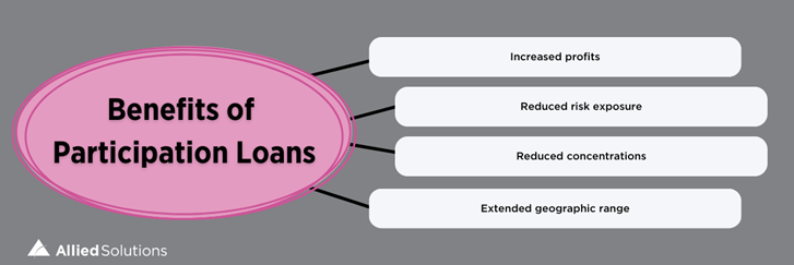 Image showing listed benefits of participation loans