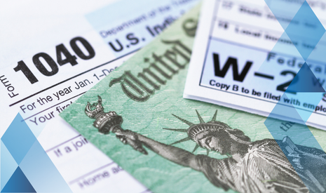 image of w2s with blue array overlay