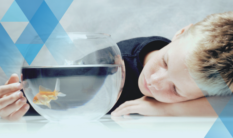 young boy with blonde hair with his head laying on a table looking at a goldfish in a fish bowl