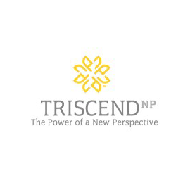 Triscend company logo